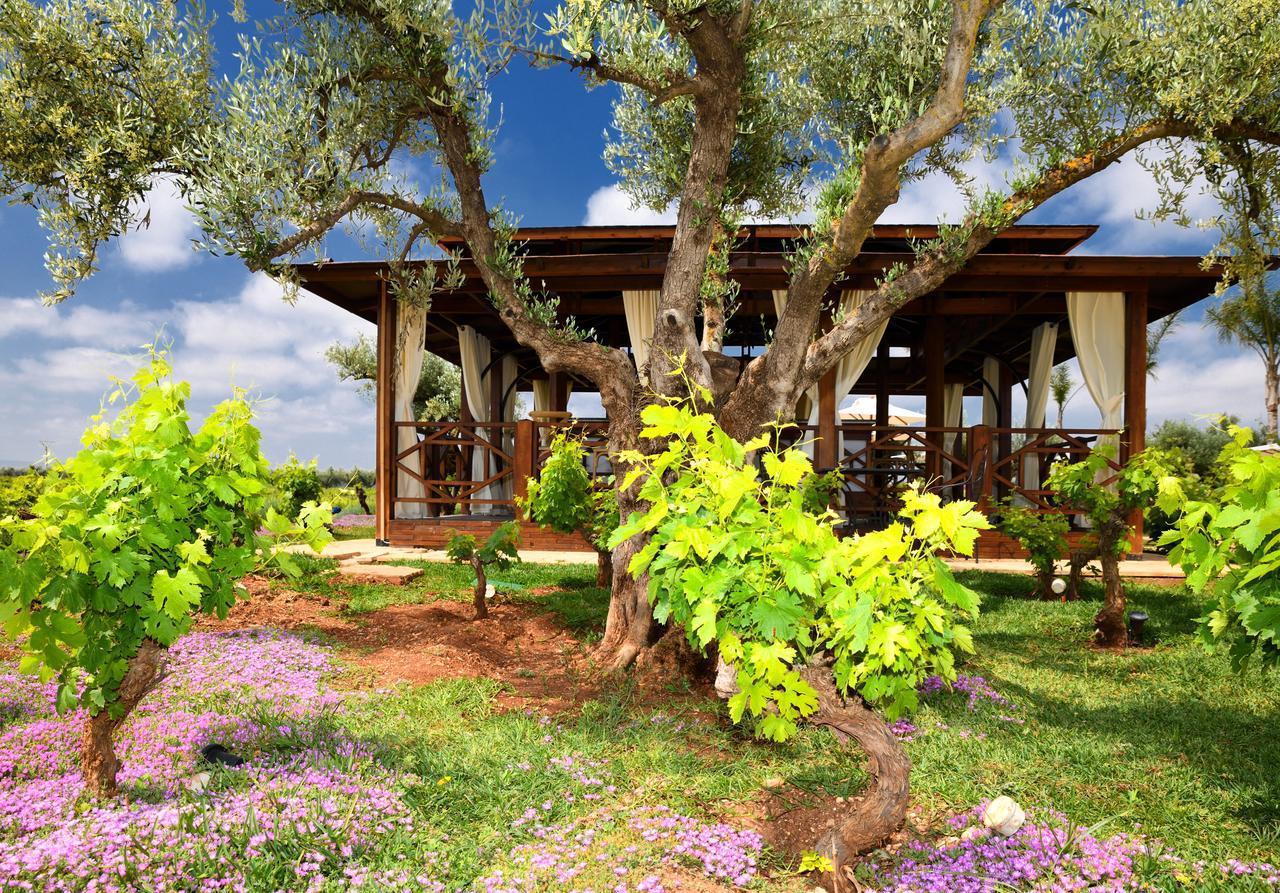 Chateau Roslane Boutique Hotel & Spa مكناز المظهر الخارجي الصورة