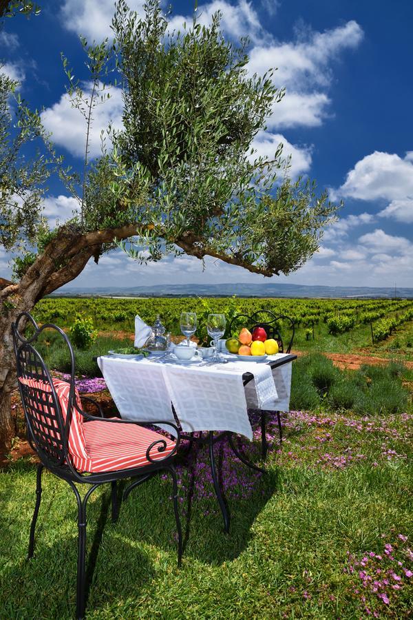 Chateau Roslane Boutique Hotel & Spa مكناز المظهر الخارجي الصورة